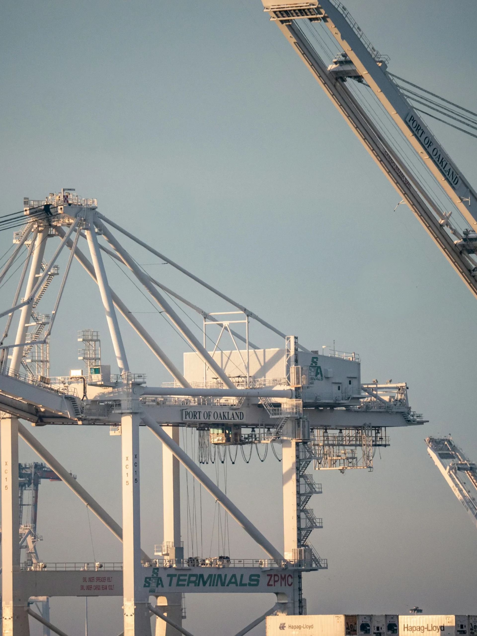 Traceability and Supply Chain Engagement | SPIN360