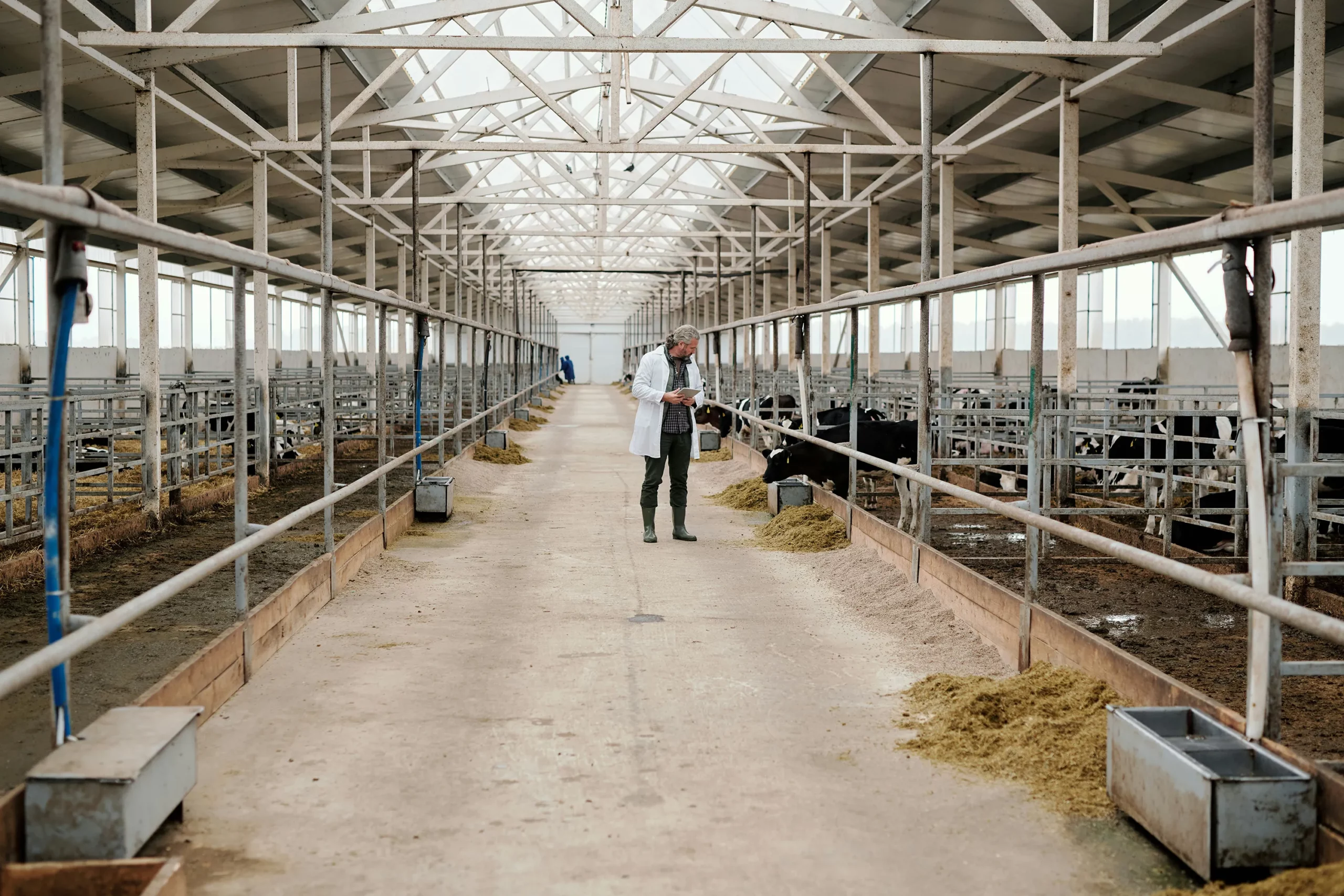 Animal Farming LCA | SPIN360